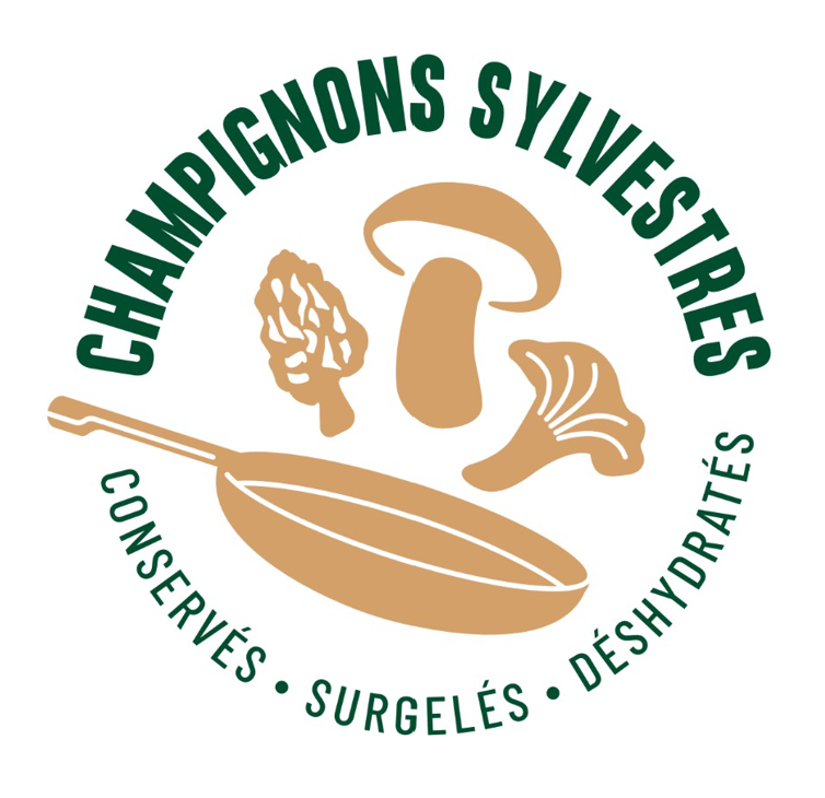 Champignons Sylvestres
